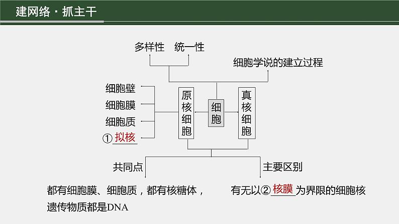 第一篇 主题一 专题(一) 细胞的结构第3页