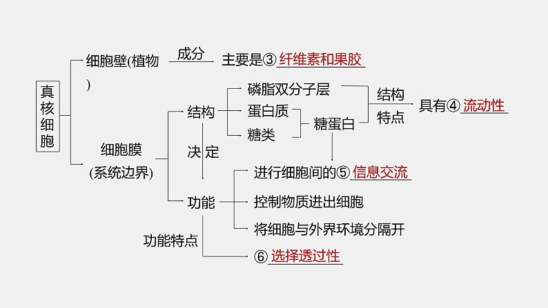 第一篇 主题一 专题(一) 细胞的结构第4页