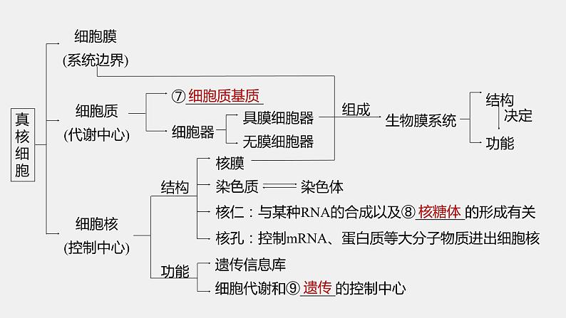 第一篇 主题一 专题(一) 细胞的结构第5页