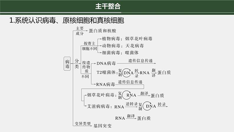 第一篇 主题一 专题(一) 细胞的结构第7页