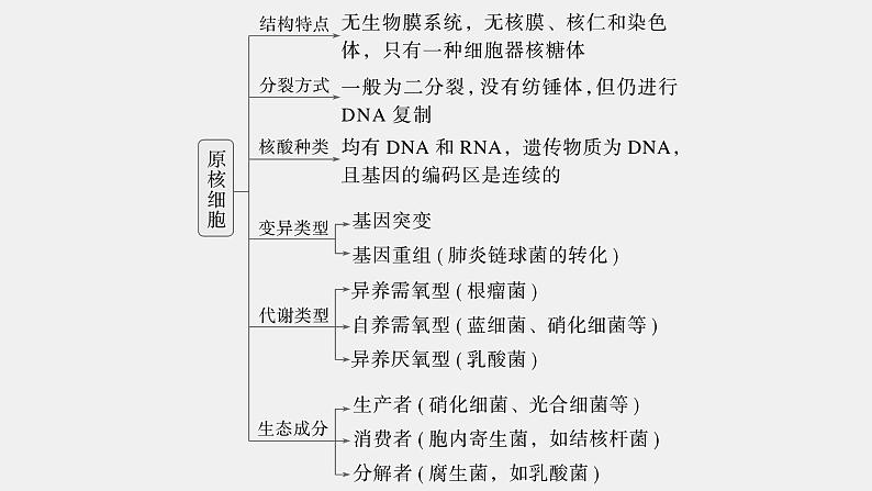 第一篇 主题一 专题(一) 细胞的结构第8页