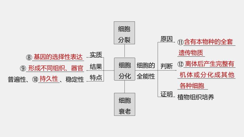 第一篇　主题一　专题(二)　命题点1　有丝分裂和减数分裂 2024年高考生物二轮复习课件+讲义05