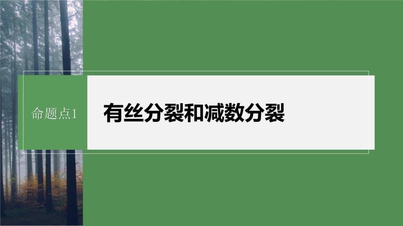 第一篇　主题一　专题(二)　命题点1　有丝分裂和减数分裂 2024年高考生物二轮复习课件+讲义07