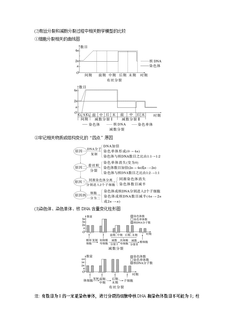 第一篇　主题一　专题(二)　命题点1　有丝分裂和减数分裂 2024年高考生物二轮复习课件+讲义03