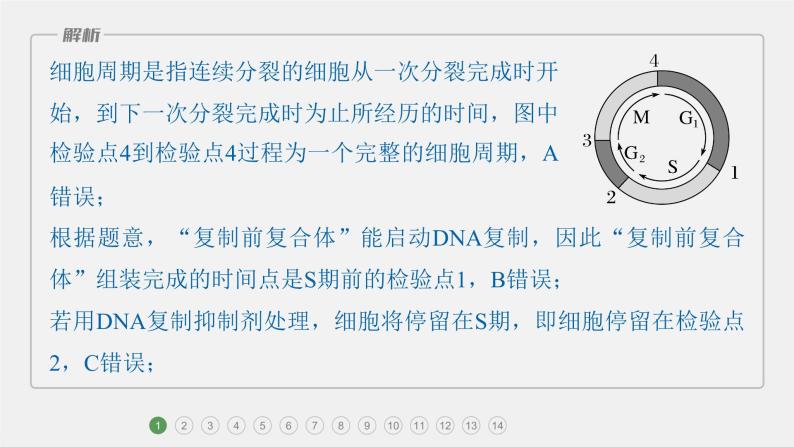 第一篇　主题一　专题(二)　专题强化练 细胞的增殖、分化、衰老和死亡 2024年高考生物二轮复习课件+讲义03