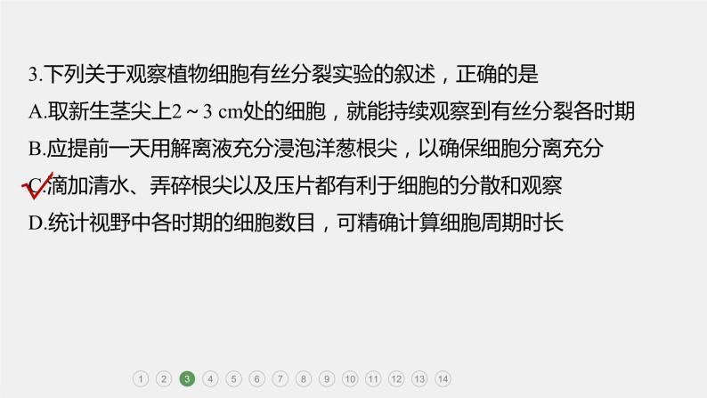 第一篇　主题一　专题(二)　专题强化练 细胞的增殖、分化、衰老和死亡 2024年高考生物二轮复习课件+讲义08