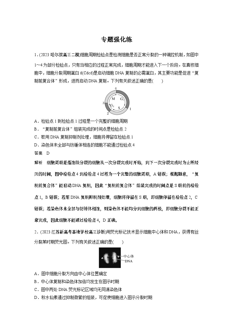 第一篇　主题一　专题(二)　专题强化练 细胞的增殖、分化、衰老和死亡 2024年高考生物二轮复习课件+讲义01