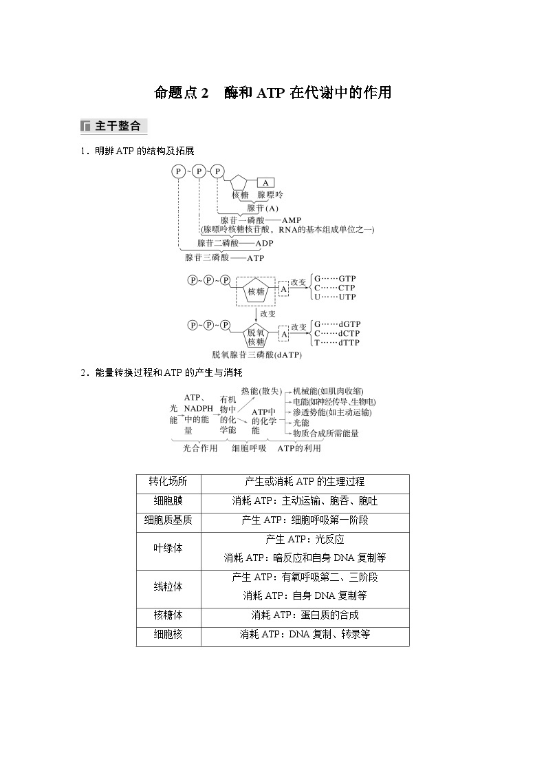 第一篇　主题一　专题(三)　命题点2　酶和ATP在代谢中的作用 2024年高考生物二轮复习课件+讲义01