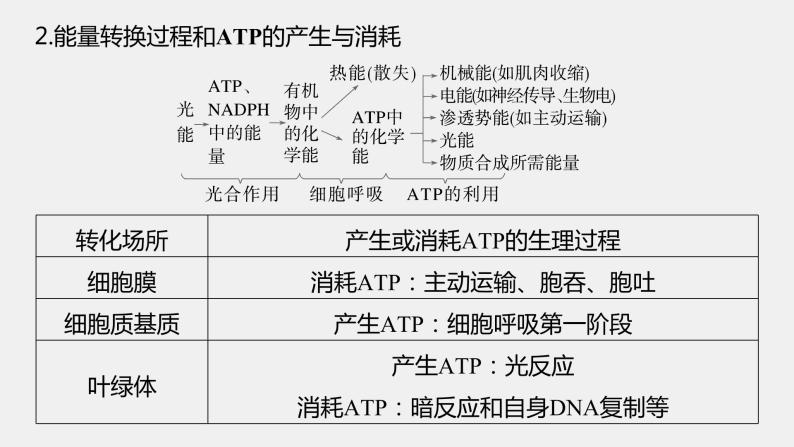 第一篇　主题一　专题(三)　命题点2　酶和ATP在代谢中的作用 2024年高考生物二轮复习课件+讲义05