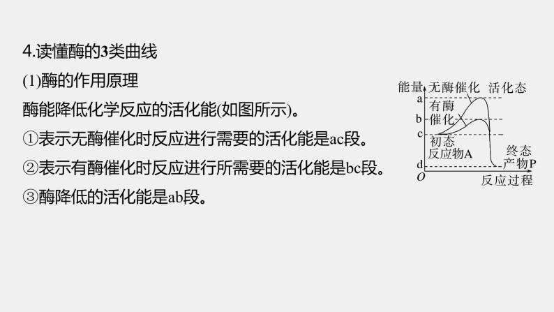 第一篇　主题一　专题(三)　命题点2　酶和ATP在代谢中的作用 2024年高考生物二轮复习课件+讲义08