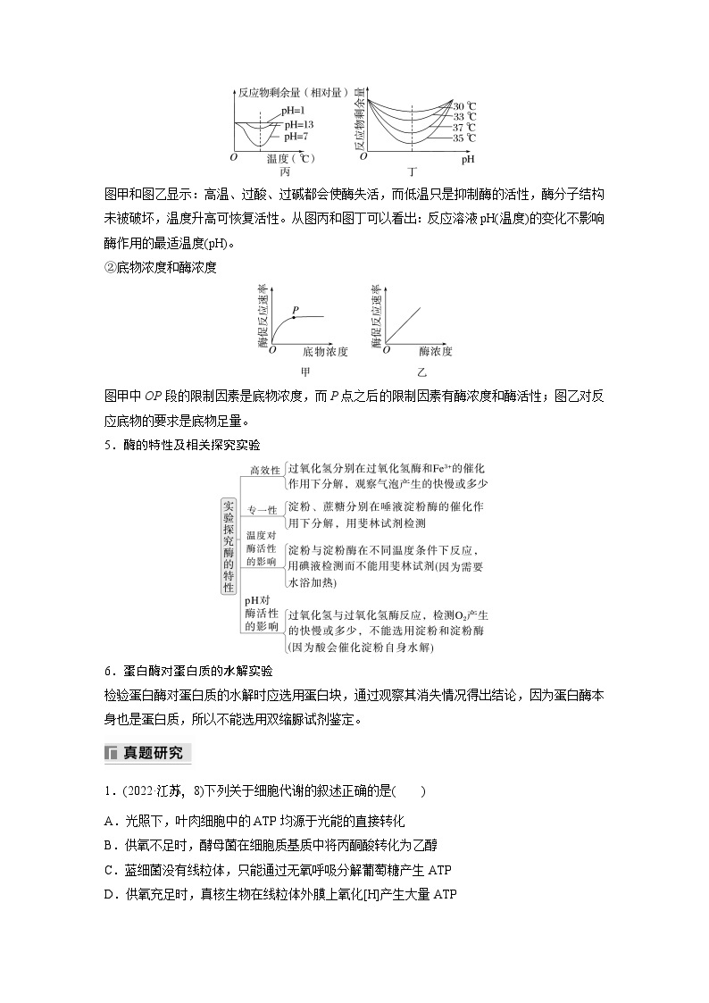 第一篇　主题一　专题(三)　命题点2　酶和ATP在代谢中的作用 2024年高考生物二轮复习课件+讲义03