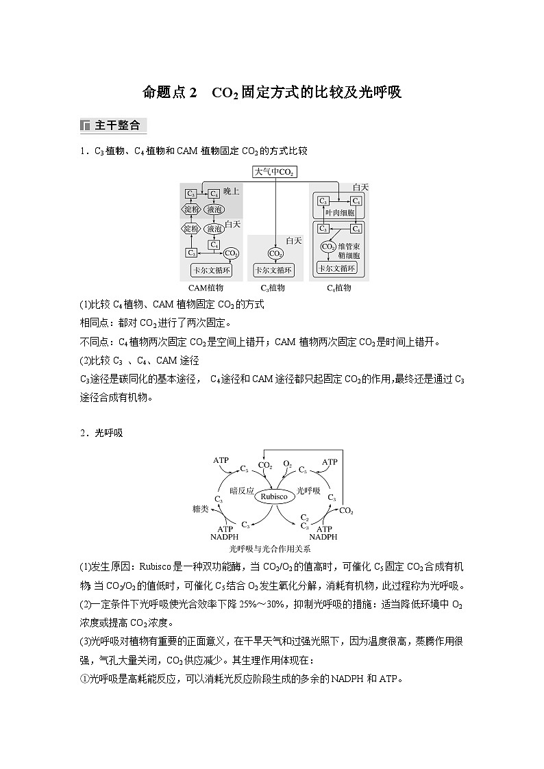 第一篇 主题一 专题(四) 命题点2 CO2固定方式的比较及光呼吸第1页