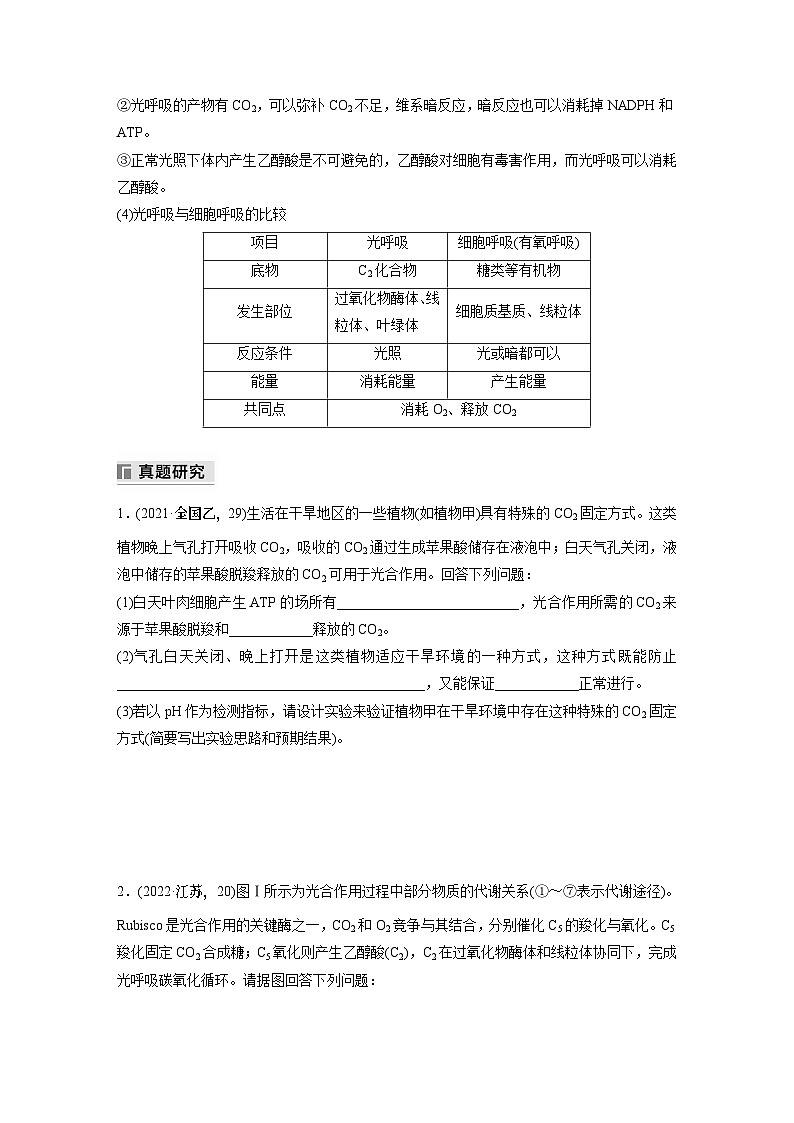 第一篇 主题一 专题(四) 命题点2 CO2固定方式的比较及光呼吸第2页