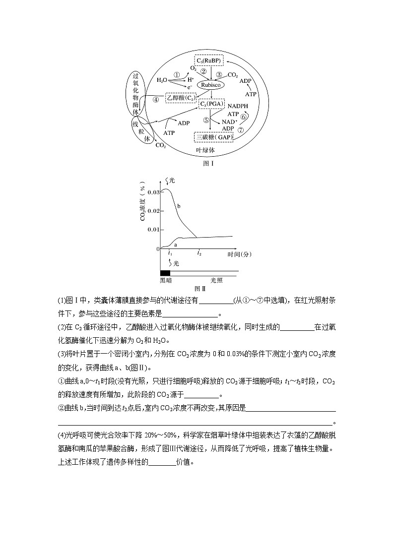 第一篇 主题一 专题(四) 命题点2 CO2固定方式的比较及光呼吸第3页