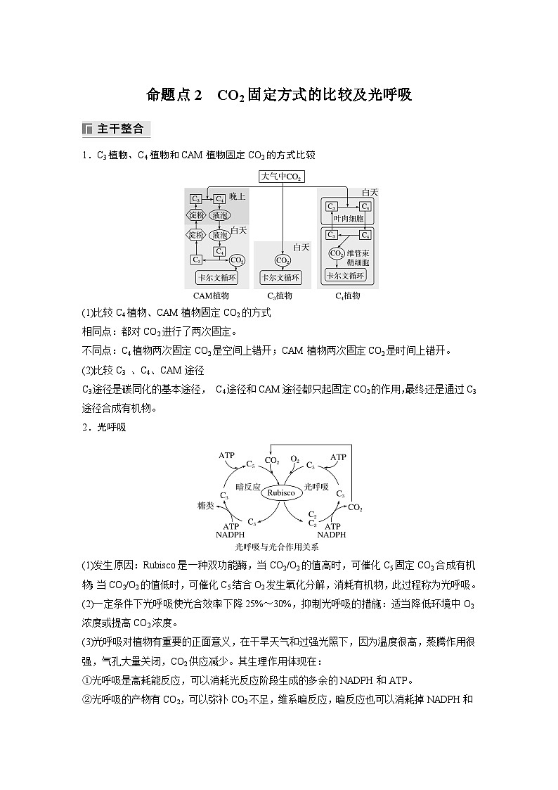 第一篇 主题一 专题(四) 命题点2 CO2固定方式的比较及光呼吸(教师版)第1页