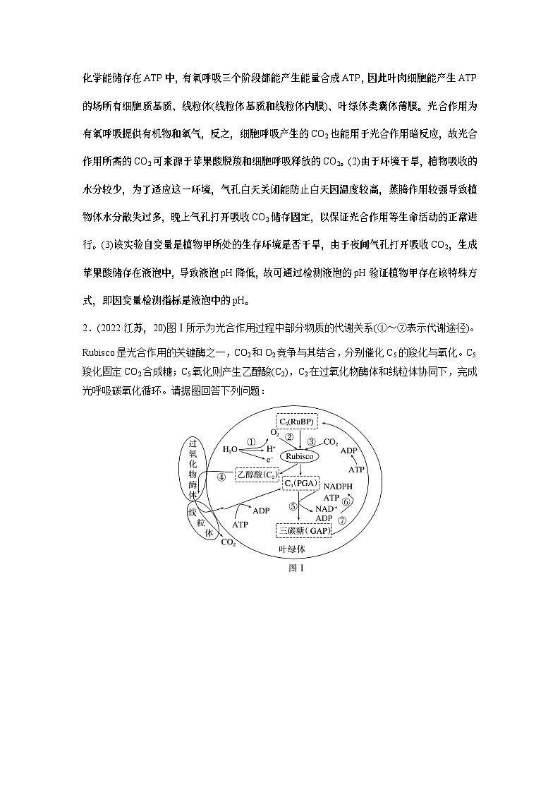 第一篇 主题一 专题(四) 命题点2 CO2固定方式的比较及光呼吸(教师版)第3页