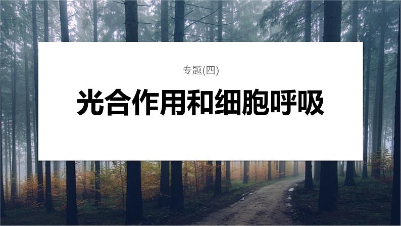 第一篇 主题一 专题(四) 命题点2 CO2固定方式的比较及光呼吸第1页