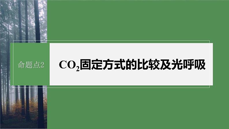 第一篇 主题一 专题(四) 命题点2 CO2固定方式的比较及光呼吸第2页