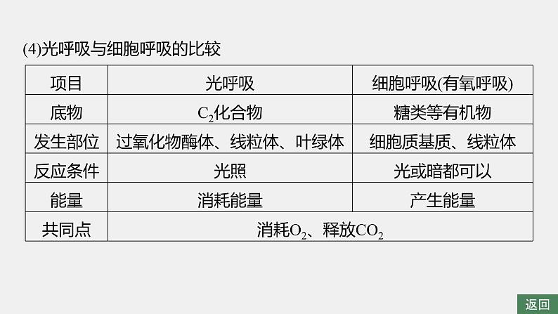 第一篇 主题一 专题(四) 命题点2 CO2固定方式的比较及光呼吸第8页