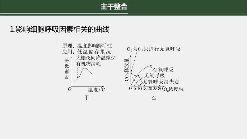 第一篇　主题一　专题(四)　命题点3　影响光合作用和细胞呼吸的因素 2024年高考生物二轮复习课件+讲义04