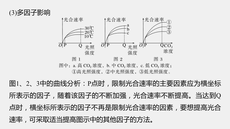 第一篇　主题一　专题(四)　命题点3　影响光合作用和细胞呼吸的因素 2024年高考生物二轮复习课件+讲义07