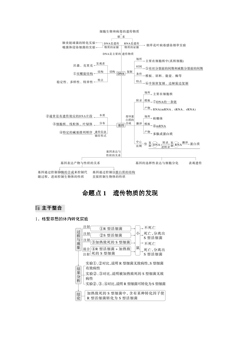 第一篇　主题二　专题(五)　命题点1　遗传物质的发现 2024年高考生物二轮复习课件+讲义02