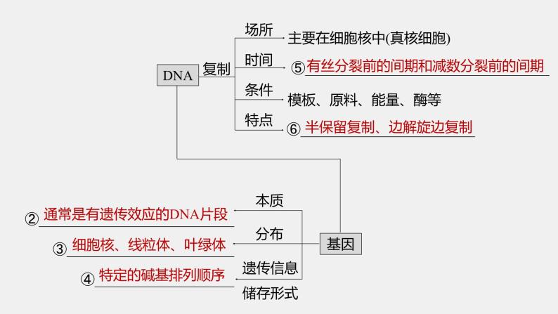 第一篇　主题二　专题(五)　命题点1　遗传物质的发现 2024年高考生物二轮复习课件+讲义04