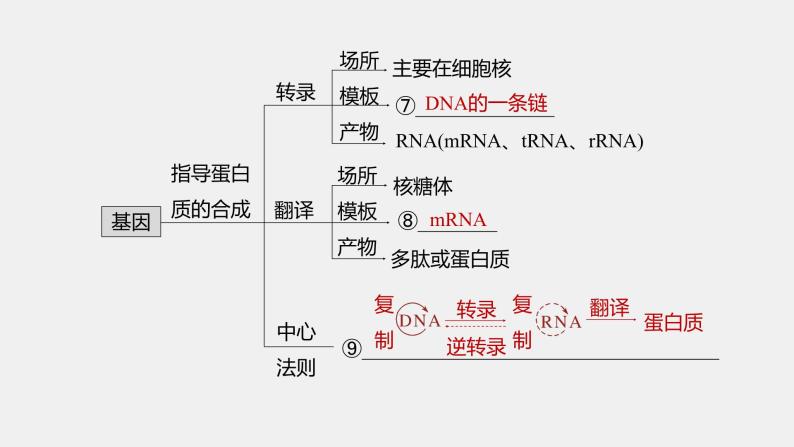 第一篇　主题二　专题(五)　命题点1　遗传物质的发现 2024年高考生物二轮复习课件+讲义05