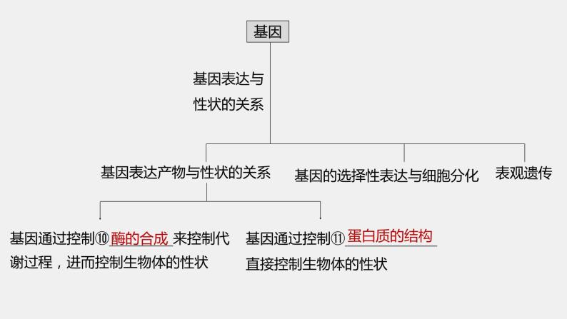 第一篇　主题二　专题(五)　命题点1　遗传物质的发现 2024年高考生物二轮复习课件+讲义06