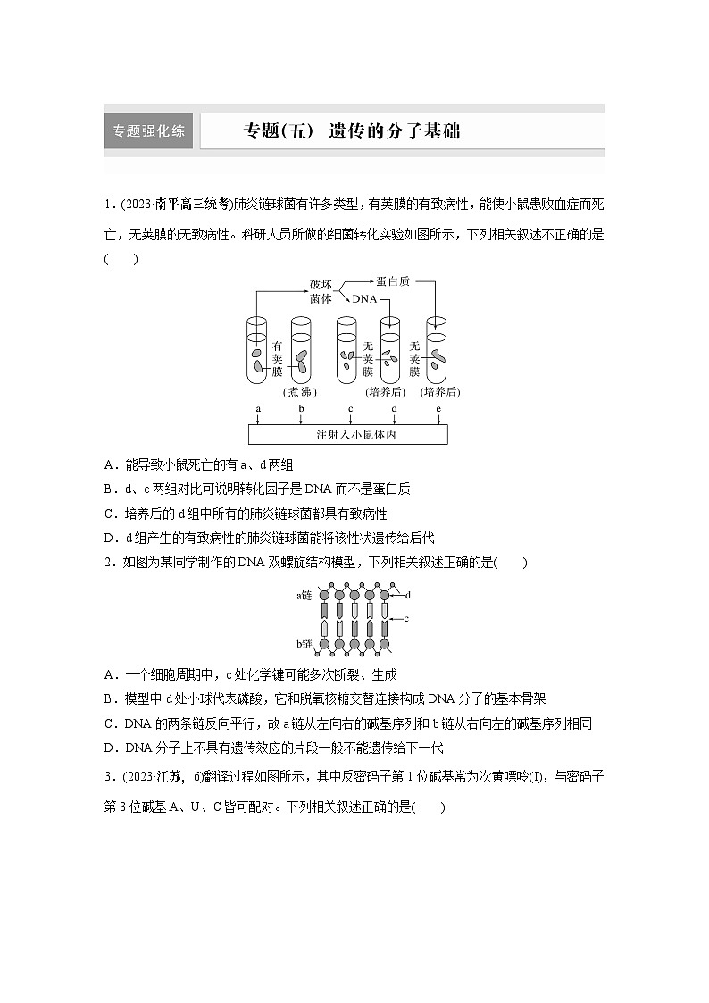 专题(五) 遗传的分子基础第1页