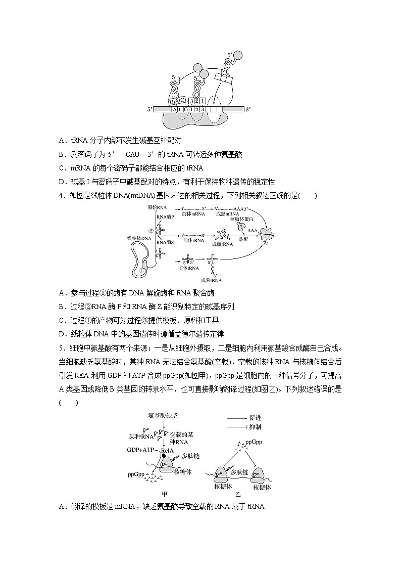专题(五) 遗传的分子基础第2页