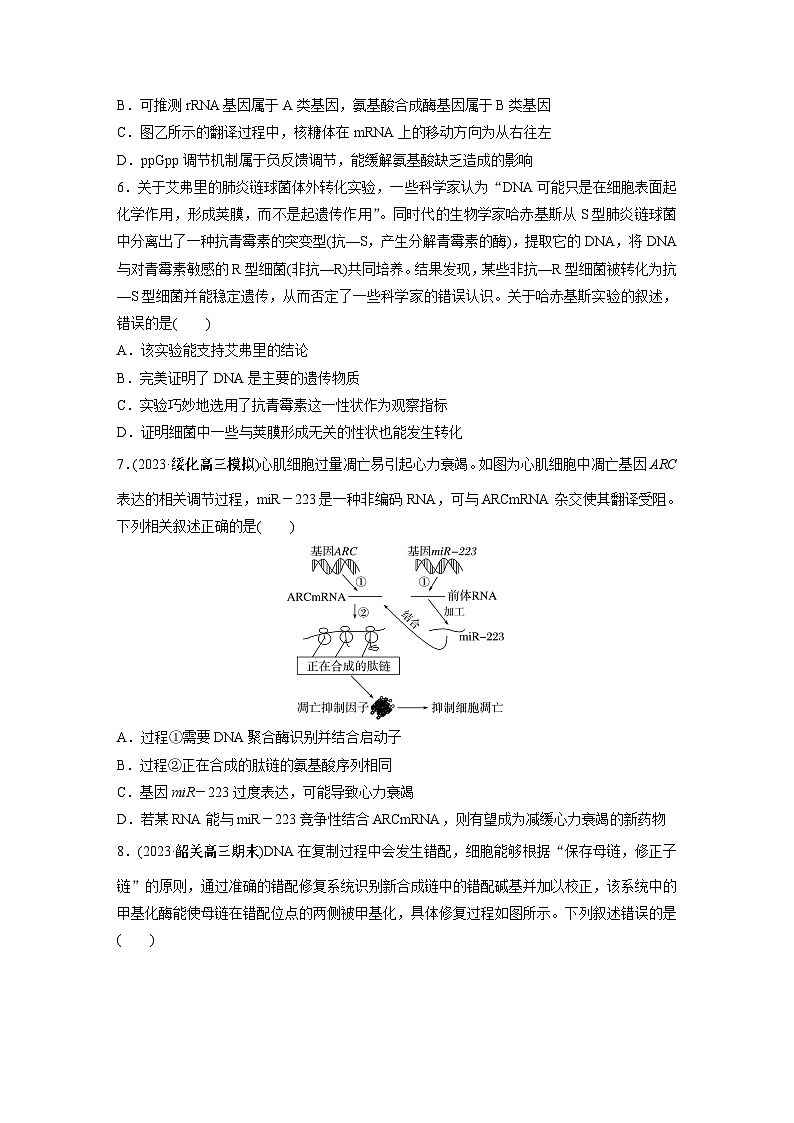 专题(五) 遗传的分子基础第3页