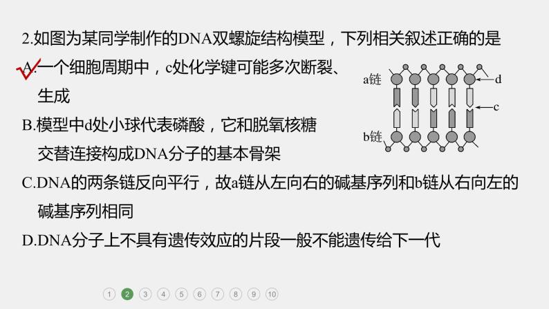 第一篇　主题二　专题(五)　专题强化练 遗传的分子基础 2024年高考生物二轮复习课件+讲义04