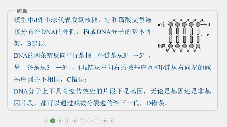 第一篇 主题二 专题(五) 专题强化练第5页
