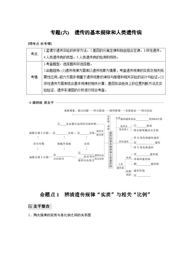 第一篇　主题二　专题(六)　命题点1　辨清遗传规律“实质”与相关“比例” 2024年高考生物二轮复习课件+讲义01