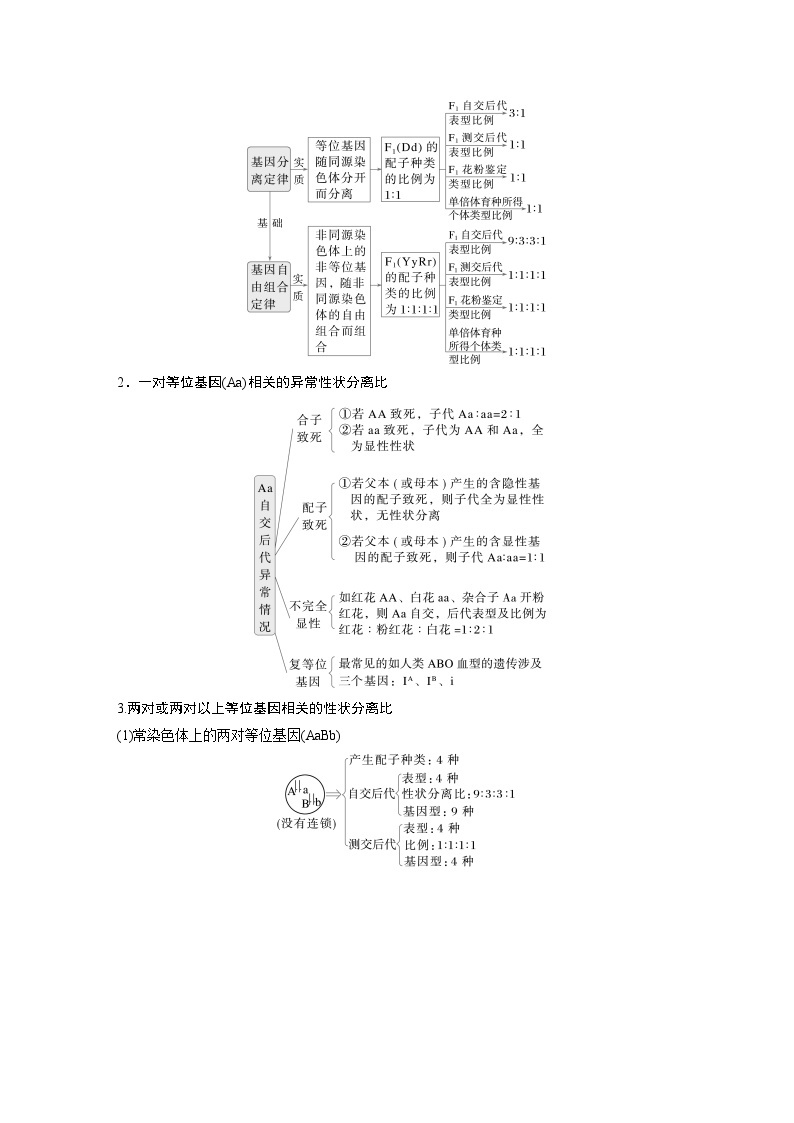 第一篇　主题二　专题(六)　命题点1　辨清遗传规律“实质”与相关“比例” 2024年高考生物二轮复习课件+讲义02