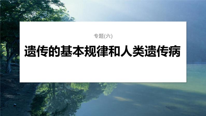 第一篇　主题二　专题(六)　命题点1　辨清遗传规律“实质”与相关“比例” 2024年高考生物二轮复习课件+讲义01