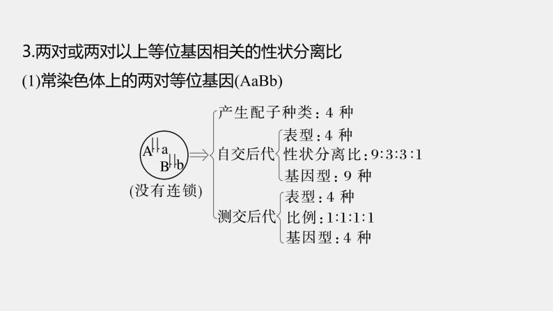 第一篇　主题二　专题(六)　命题点1　辨清遗传规律“实质”与相关“比例” 2024年高考生物二轮复习课件+讲义08