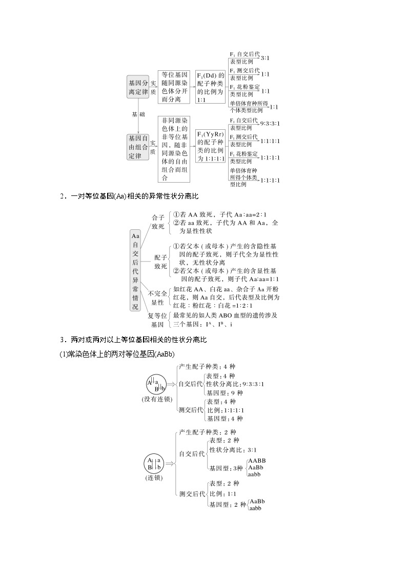 第一篇　主题二　专题(六)　命题点1　辨清遗传规律“实质”与相关“比例” 2024年高考生物二轮复习课件+讲义02