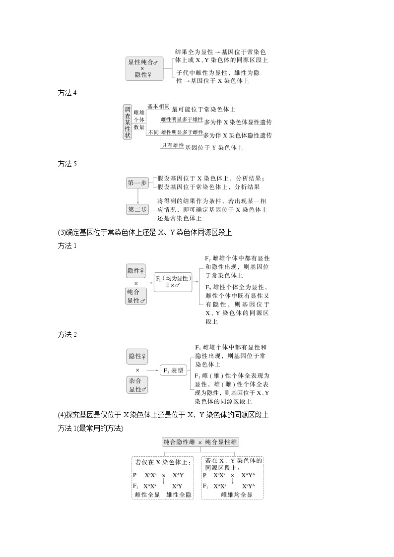 第一篇　主题二　专题(六)　命题点3　遗传实验的设计与推理 2024年高考生物二轮复习课件+讲义03