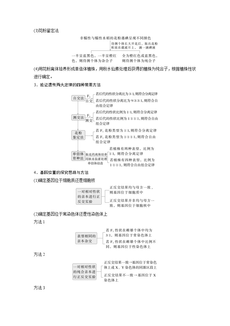 第一篇　主题二　专题(六)　命题点3　遗传实验的设计与推理 2024年高考生物二轮复习课件+讲义02