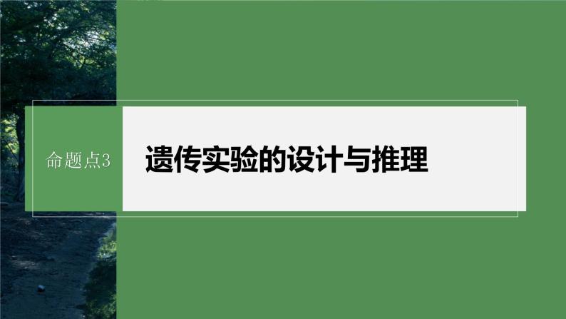 第一篇　主题二　专题(六)　命题点3　遗传实验的设计与推理 2024年高考生物二轮复习课件+讲义02