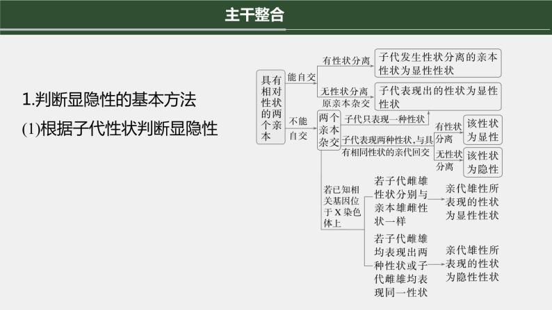 第一篇　主题二　专题(六)　命题点3　遗传实验的设计与推理 2024年高考生物二轮复习课件+讲义04