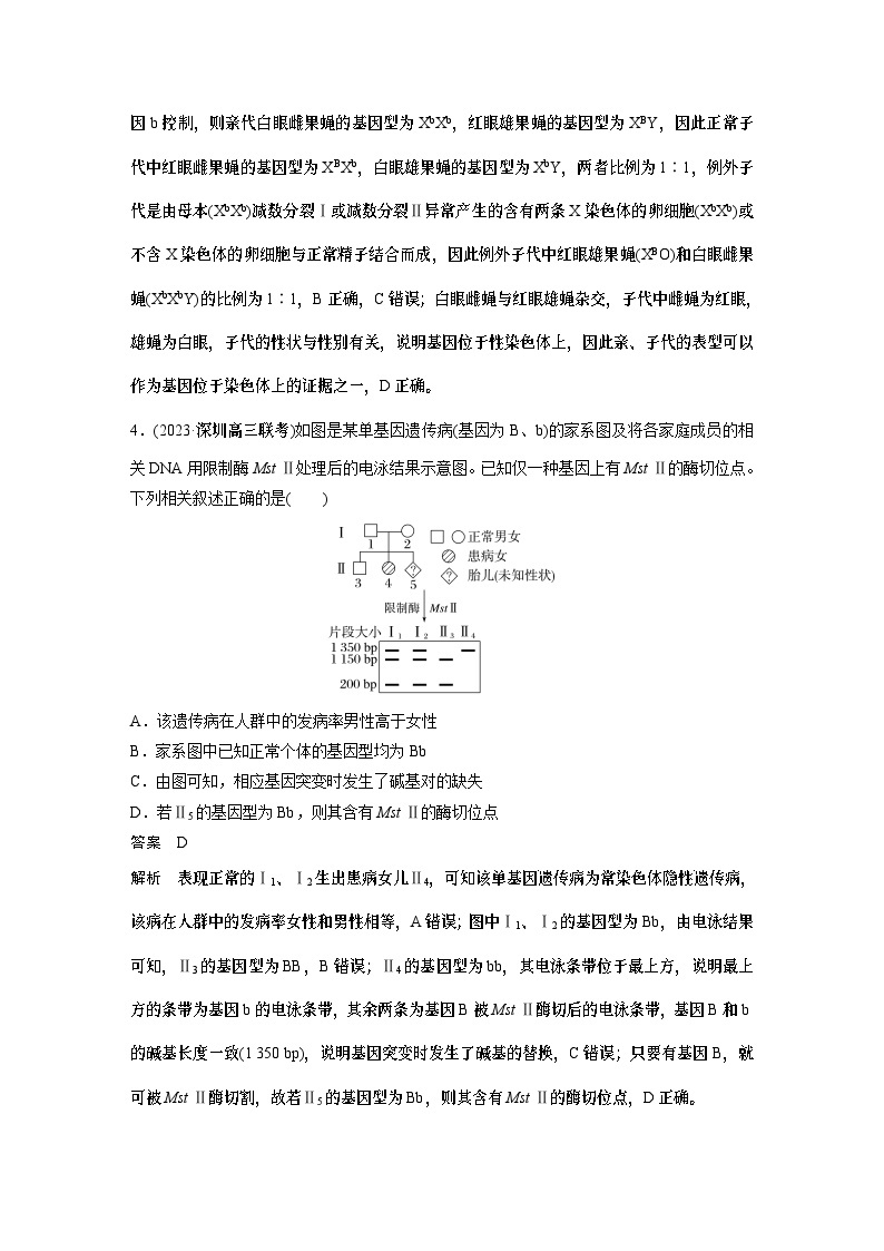 第一篇　主题二　专题(六)　专题强化练B 遗传的基本规律和人类遗传病B 2024年高考生物二轮复习课件+讲义03