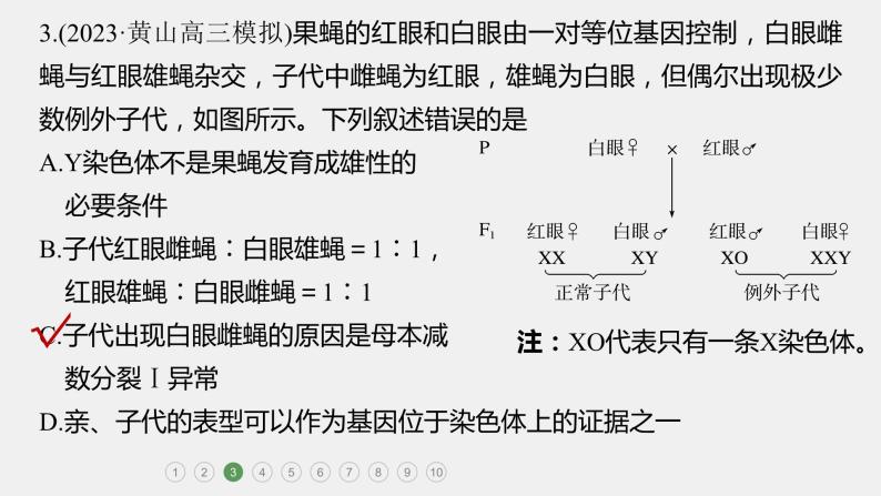 第一篇　主题二　专题(六)　专题强化练B 遗传的基本规律和人类遗传病B 2024年高考生物二轮复习课件+讲义08