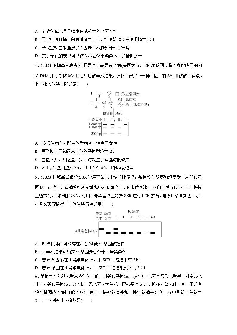 第一篇　主题二　专题(六)　专题强化练B 遗传的基本规律和人类遗传病B 2024年高考生物二轮复习课件+讲义02