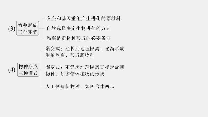 第一篇　主题二　专题(七)　命题点2　生物的进化 2024年高考生物二轮复习课件+讲义07