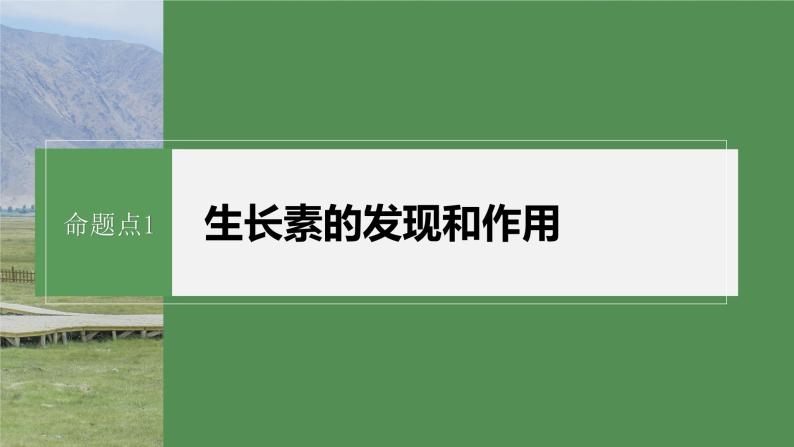 第一篇　主题三　专题(九)　命题点1　生长素的发现和作用 2024年高考生物二轮复习课件+讲义06