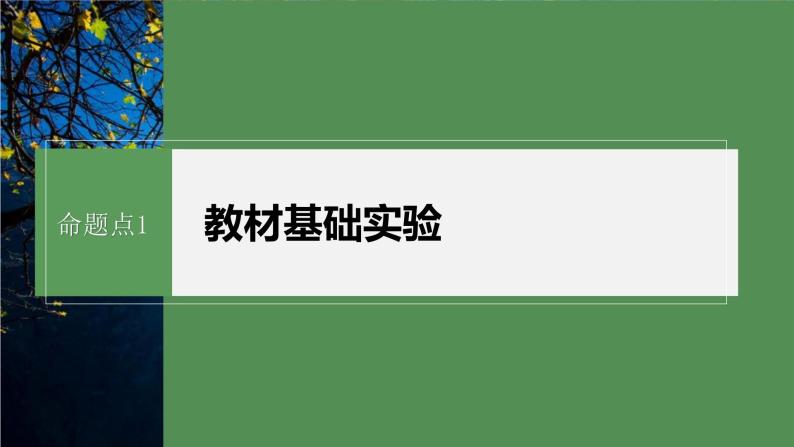 第一篇　主题六　专题(十四)　命题点1　教材基础实验 2024年高考生物二轮复习课件+讲义04