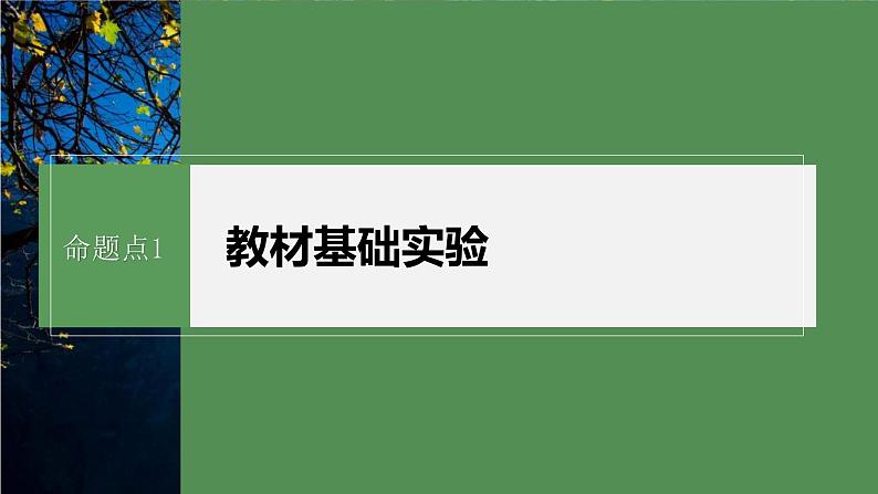 第一篇 主题六 专题(十四) 命题点1 教材基础实验 2024年高考生物二轮复习课件+讲义04